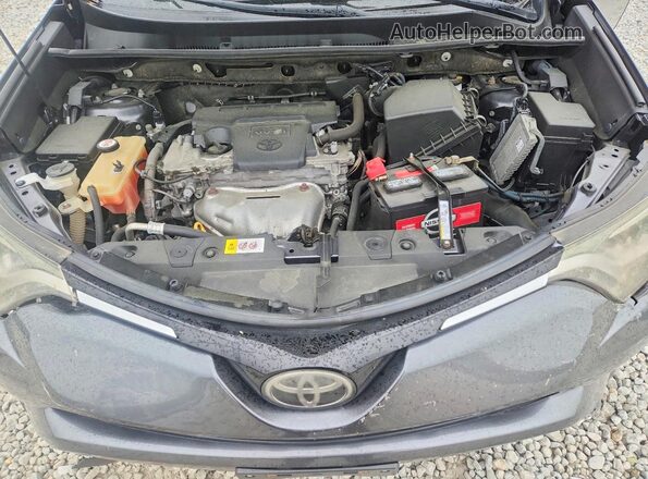 JTMRFREVXHD221673 2017 TOYOTA RAV4 Gray Սալոնի հետևի տեսք