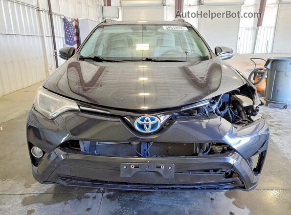 JTMRJREV2GD017740 2016 TOYOTA RAV4 Черный Вид спереди