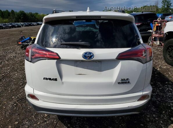 JTMRJREV4GD052263 2016 TOYOTA RAV4 White Вид ззаду