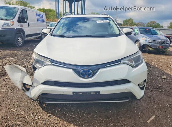 JTMRJREV5JD243729 2018 TOYOTA RAV4 Белый Вид спереди