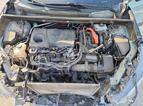 JTMRWRFV3LD071977 2020 TOYOTA RAV4 Серый Вид задней части салона