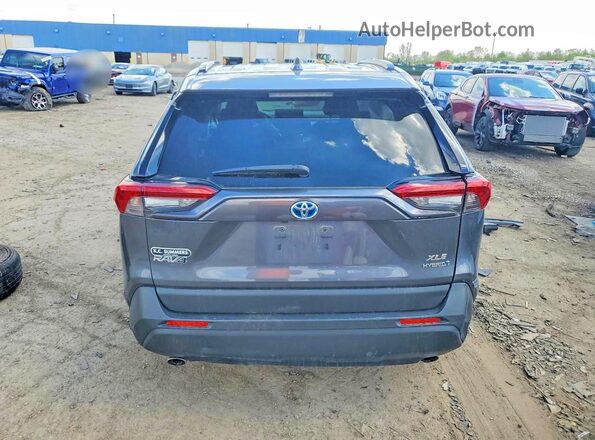 JTMRWRFVXKD009071 2019 TOYOTA RAV4 Серый Вид сзади