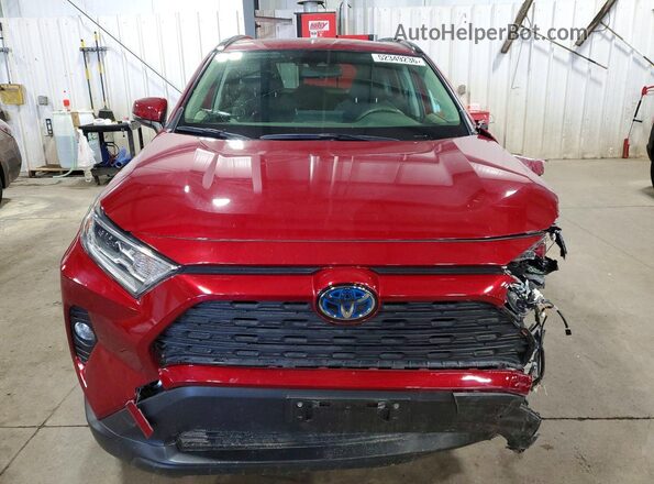 JTMRWRFVXKD032186 2019 TOYOTA RAV4 Maroon წინა ხედი