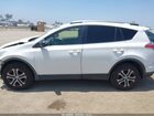 2017 Toyota Rav4 Le Белый vin: JTMZFREV9HJ711040