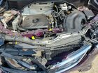 2020 Buick Encore Maroon vin: KL4MMESL3LB134739 2020 Buick Encore Maroon vin: KL4MMESL3LB134739