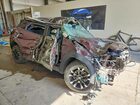 2023 Chevrolet Trailblazer Lt Maroon vin: KL79MPS28PB180875