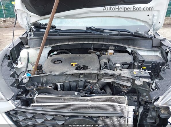 KM8J2CA43KU072741 2019 HYUNDAI TUCSON Белый Вид сзади
