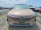2021 Hyundai Nexo Limited Tan vin: KM8J84A69MU014660 2021 Hyundai Nexo Limited Tan vin: KM8J84A69MU014660