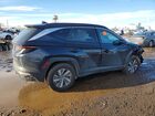 2023 Hyundai Tucson Blue Синий vin: KM8JBCA13PU092324