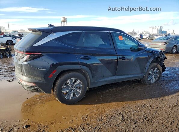 KM8JBCA13PU092324 2023 HYUNDAI TUCSON Синий Задняя правая четверть
