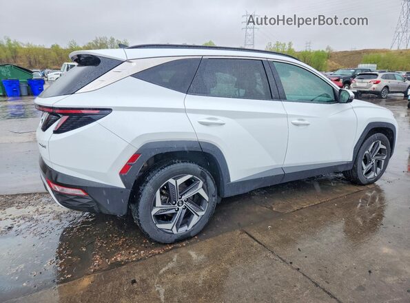 KM8JECA19NU031838 2022 HYUNDAI TUCSON Белый Задняя правая четверть