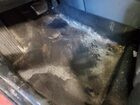 2020 Hyundai Kona Sel Plus Оранжевый vin: KM8K6CAA8LU521086 Damage: Left Front Carpet, Torn, 5 To 6 Inches