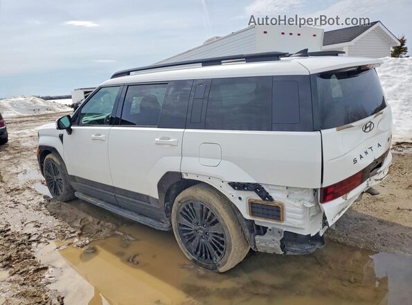 KM8P5DG10RU034897 2024 HYUNDAI SANTA Белый Задняя левая четверть