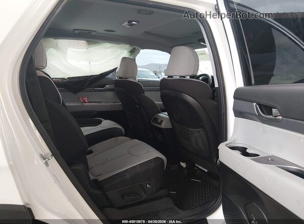 KM8R24HE4NU362059 2022 HYUNDAI PALISADE Белый Вид наклейки с VIN-кодом