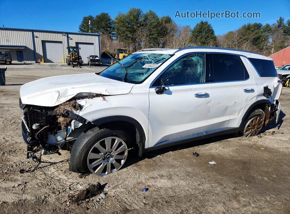 KM8R2DGE4PU643489 2023 HYUNDAI PALISADE Белый Передняя левая четверть