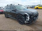 2024 Hyundai Palisade Xrt Black vin: KM8R34GE4RU699738