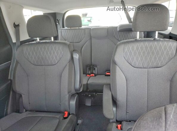 KM8R34HE4LU094544 2020 HYUNDAI PALISADE White Widok tylnych siedzeń