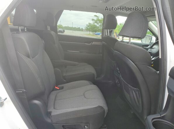 KM8R34HE4LU094544 2020 HYUNDAI PALISADE White Widok wnętrza z tyłu