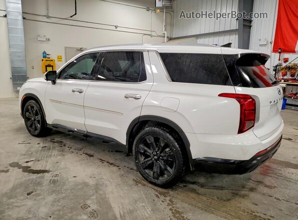 KM8R3DGE2PU598386 2023 HYUNDAI PALISADE Белый Задняя левая четверть