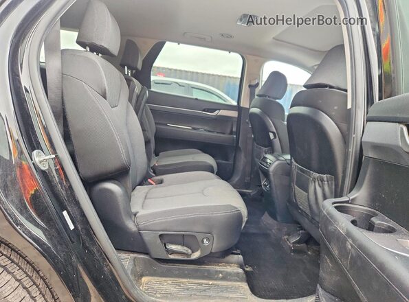 KM8R3DHE4LU080871 2020 HYUNDAI PALISADE Black Vista interior trasera