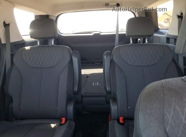KM8R3DHE7LU081013 2020 HYUNDAI PALISADE Charcoal Widok tylnych siedzeń