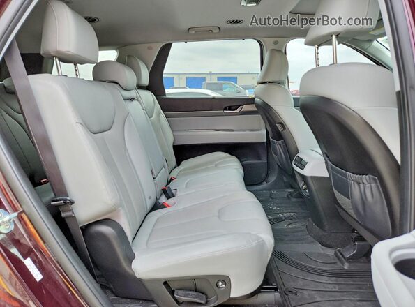 KM8R44HE6LU170908 2020 HYUNDAI PALISADE Фиолетовый Вид задней части салона