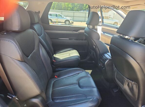 KM8R4DHE9LU060869 2020 HYUNDAI PALISADE Синий Вид задних сидений