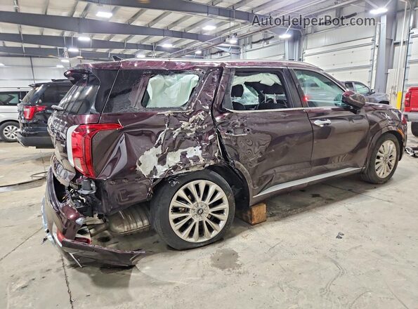 KM8R5DHE1LU131902 2020 HYUNDAI PALISADE Maroon უკანა მარჯვენა