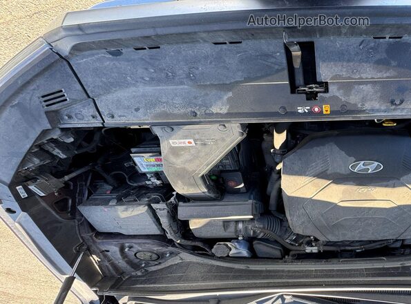 KM8R5DHE5LU071297 2020 HYUNDAI PALISADE Красный Вид сзади