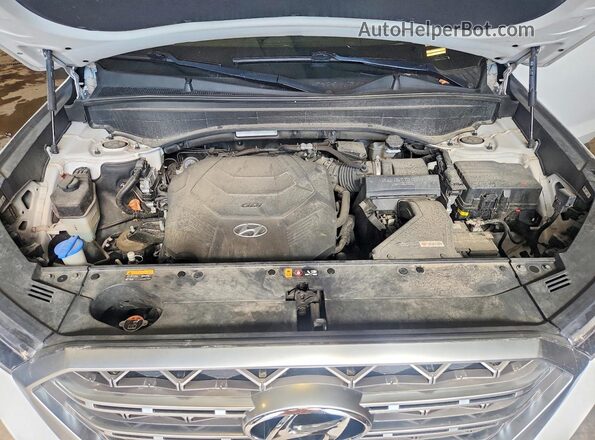 KM8R5DHE7LU167514 2020 HYUNDAI PALISADE White Widok wnętrza z tyłu