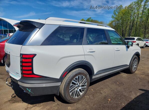 KM8RHESA2TU060891 2026 HYUNDAI PALISADE White Tył prawy