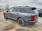 2026 Hyundai Palisade Xrt Pro Gray vin: KM8RJES22TU037544