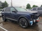 2026 Hyundai Palisade Xrt Pro Blue vin: KM8RJES23TU059228