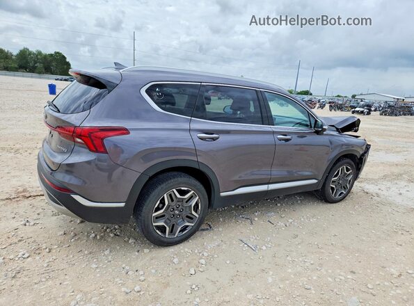KM8S5DA18MU004185 2021 HYUNDAI SANTA Charcoal Trasero derecho
