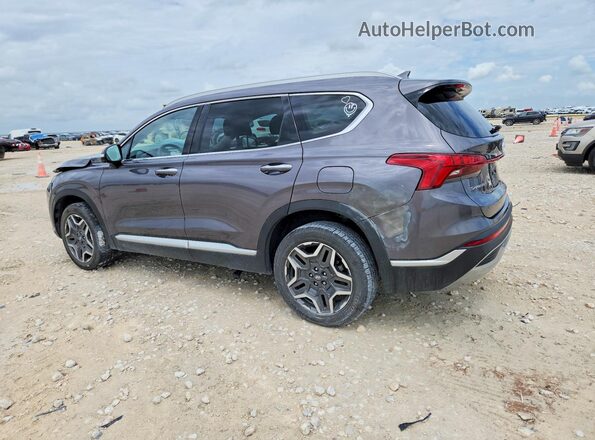 KM8S5DA18MU004185 2021 HYUNDAI SANTA Charcoal Trasero izquierdo