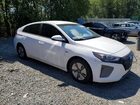 2019 Hyundai Ioniq Blue White vin: KMHC65LC1KU129046