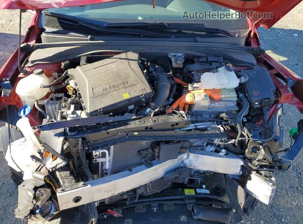 KMHC75LC1KU123261 2019 HYUNDAI IONIQ Красный Вид задней части салона