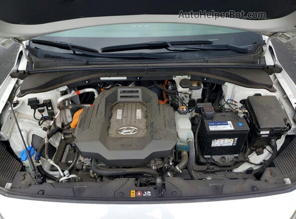 KMHC75LJ1LU061764 2020 HYUNDAI IONIQ Белый Вид задней части салона