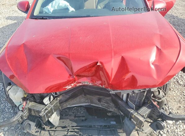 KMHD84LF7LU995239 2020 HYUNDAI ELANTRA Красный Вид задней части салона