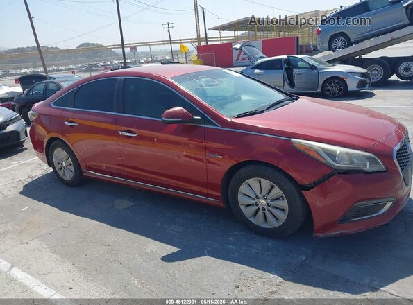 KMHE24L17GA011685 2016 HYUNDAI SONATA HYBRID Красный Вид задней части салона