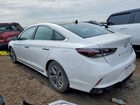 2019 Hyundai Sonata Hybrid Limited Белый vin: KMHE34L34KA087579 2019 Hyundai Sonata Hybrid Limited Белый vin: KMHE34L34KA087579