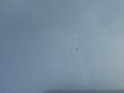 2016 Hyundai Genesis 3.8l Gray vin: KMHGN4JE3GU134873 Damage: Hood, Chipped, 3