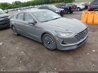 2023 Hyundai Sonata Hybrid Sel Cream vin: KMHL34JJ4PA059202