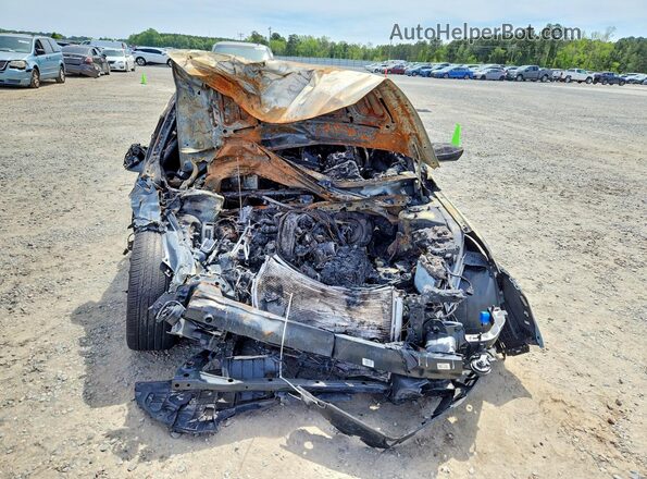 KMHLS4AGXPU442597 2023 HYUNDAI ELANTRA Серый Вид спереди