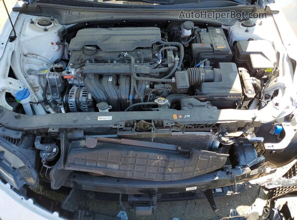 KMHLS4DG8RU747448 2024 HYUNDAI ELANTRA Белый Вид задней части салона
