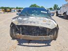 2019 Hyundai Veloster Turbo 1.6t Gray vin: KMHTH6AB8KU013465