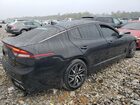 2023 Kia Stinger Gt Line Black vin: KNAE35LD2P6127961 2023 Kia Stinger Gt Line Black vin: KNAE35LD2P6127961