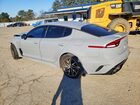 2023 Kia Stinger Gt Line Gray vin: KNAE35LD8P6133540