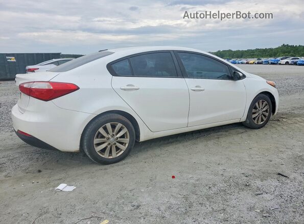 KNAFX4A64G5584252 2016 KIA FORTE White Tył prawy