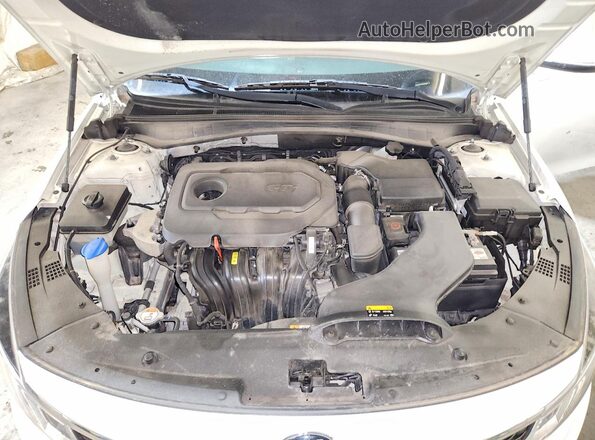 KNAGT4L33G5098535 2016 KIA OPTIMA Белый Вид задней части салона
